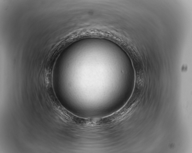 X0000099411490200805161008