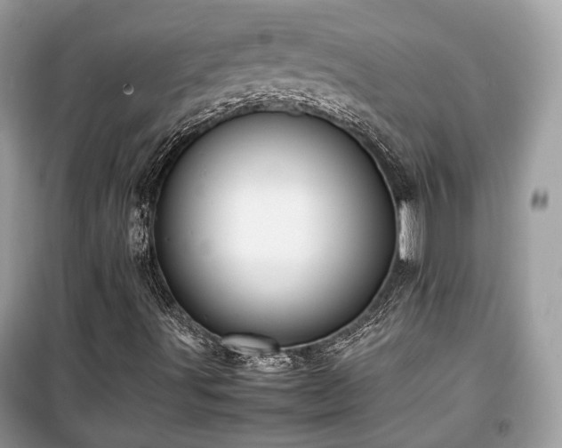 X0000099411491200805161008
