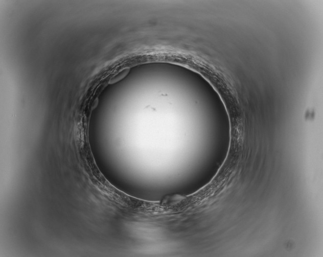 X0000099411493200805161008