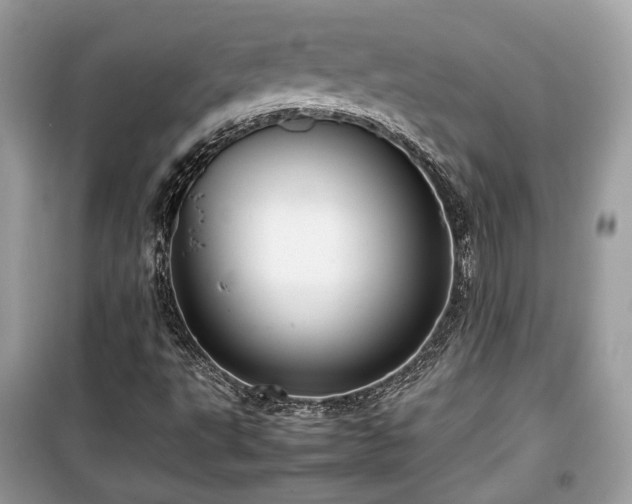 X0000099411495200805161008