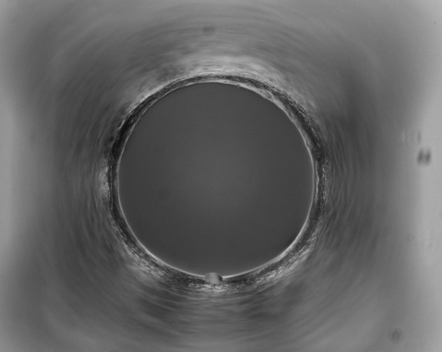 X0000099411497200805161008