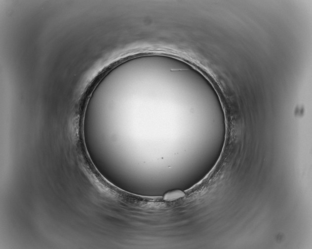 X0000099411503200805161008