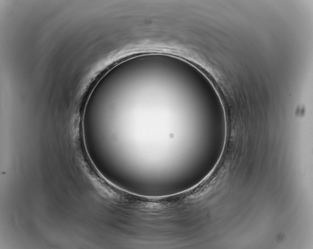 X0000099411507200805161008