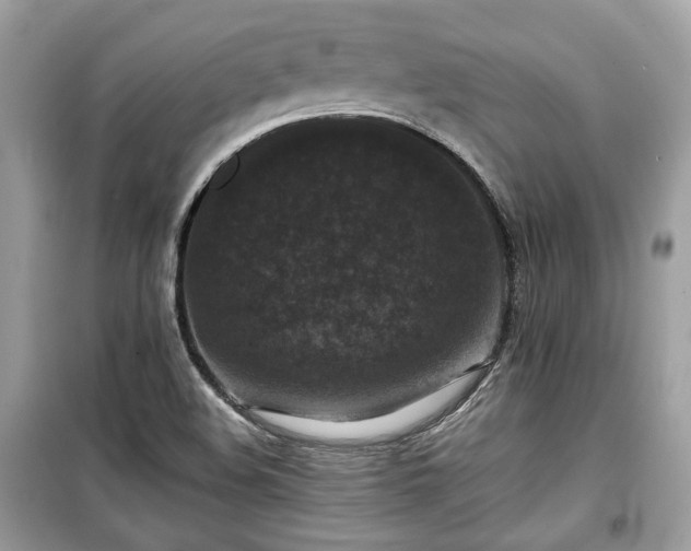 X0000099411508200805161008