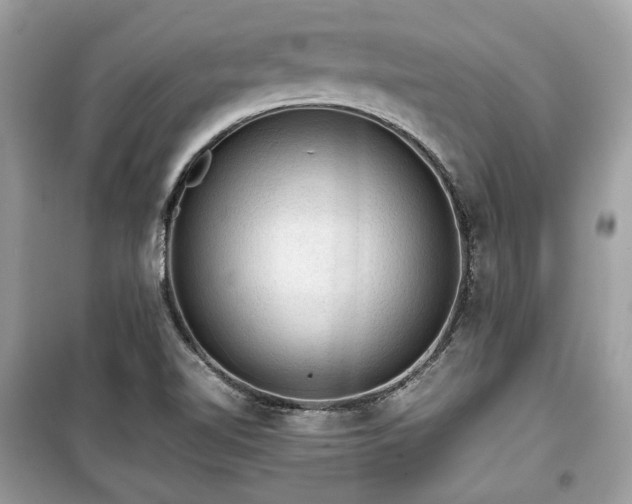 X0000099411510200805161008