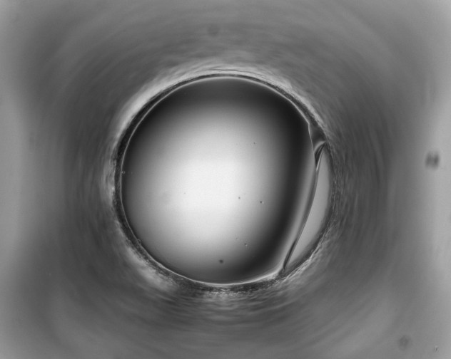 X0000099411511200805161008