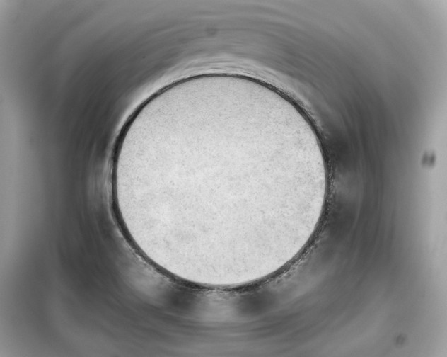 X0000099411514200805161008