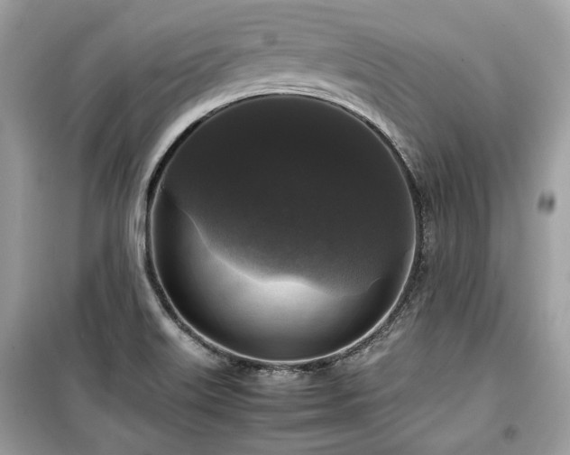 X0000099411515200805161008