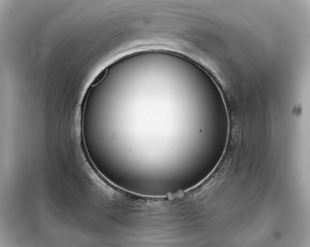 X0000099411516200805161008