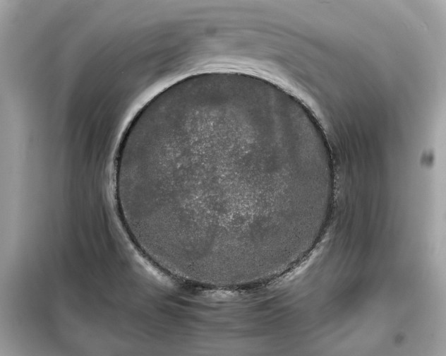 X0000099411517200805161008