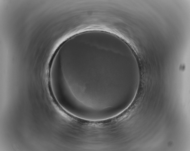 X0000099411519200805161008