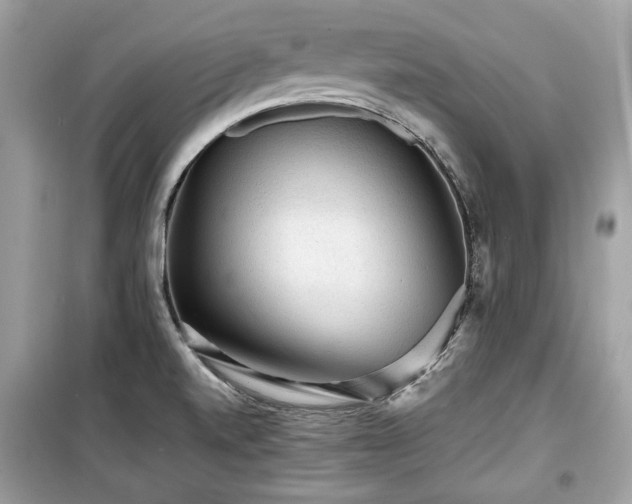X0000099411520200805161008