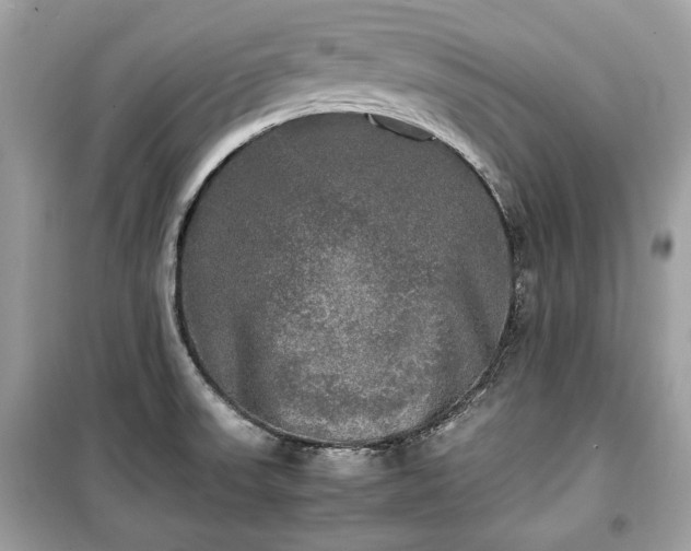 X0000099411523200805161008