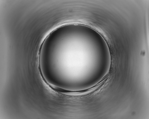 X0000099411524200805161008