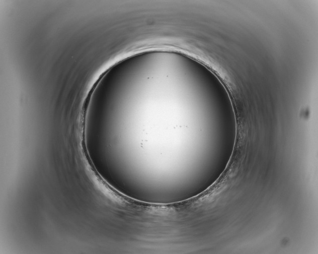 X0000099411526200805161008