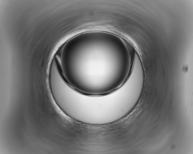 X0000099411528200805161008