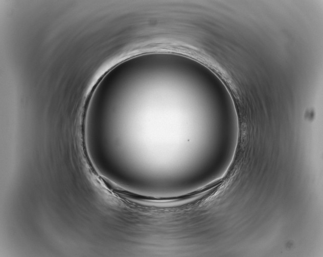 X0000099411530200805161008