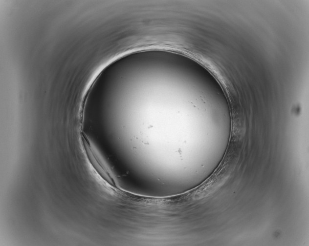 X0000099411532200805161008