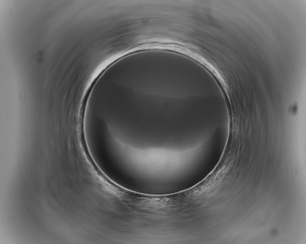 X0000099411533200805161008