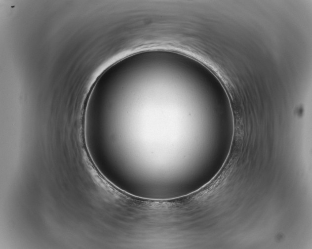 X0000099411534200805161008