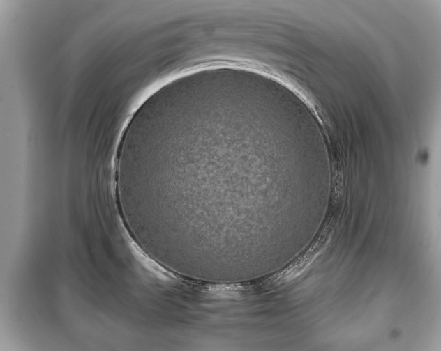 X0000099411535200805161008