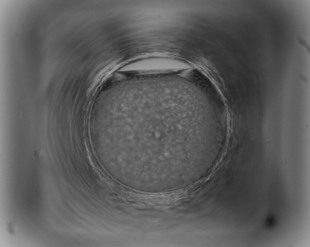 X0000099410001200805231616