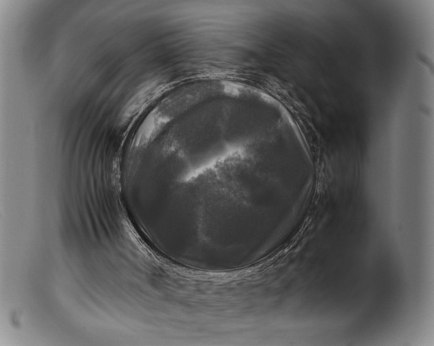 X0000099410002200805231616