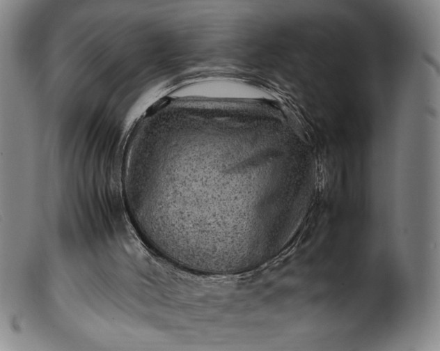 X0000099410004200805231616