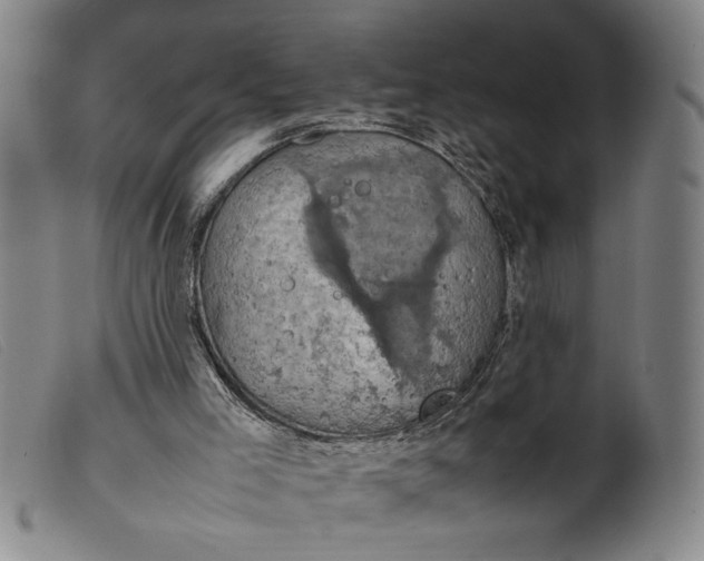 X0000099410005200805231616