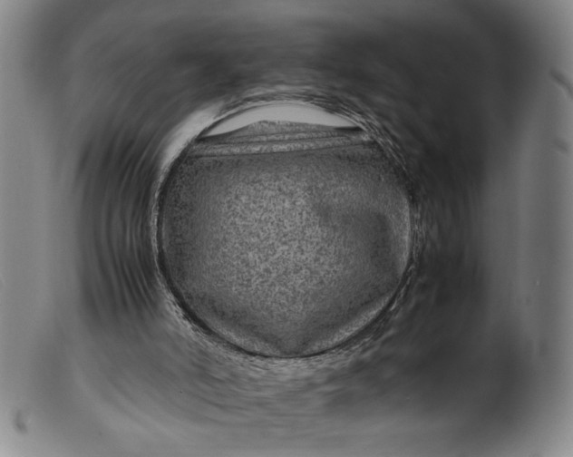 X0000099410006200805231616