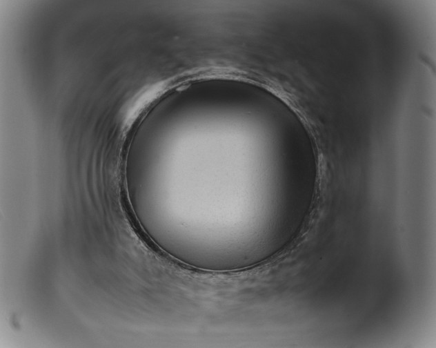 X0000099410007200805231616