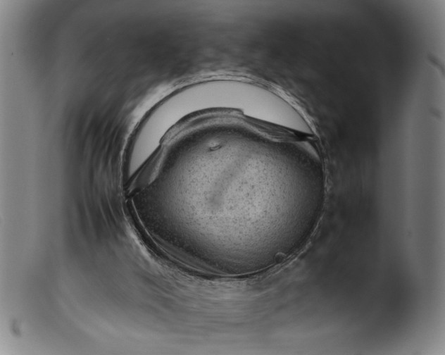 X0000099410008200805231616