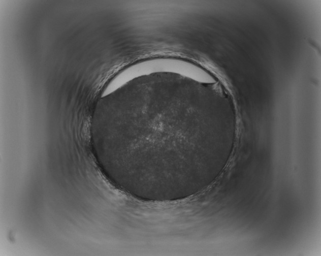 X0000099410009200805231616