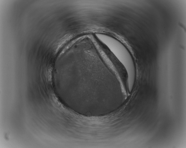 X0000099410010200805231616