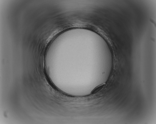 X0000099410011200805231616