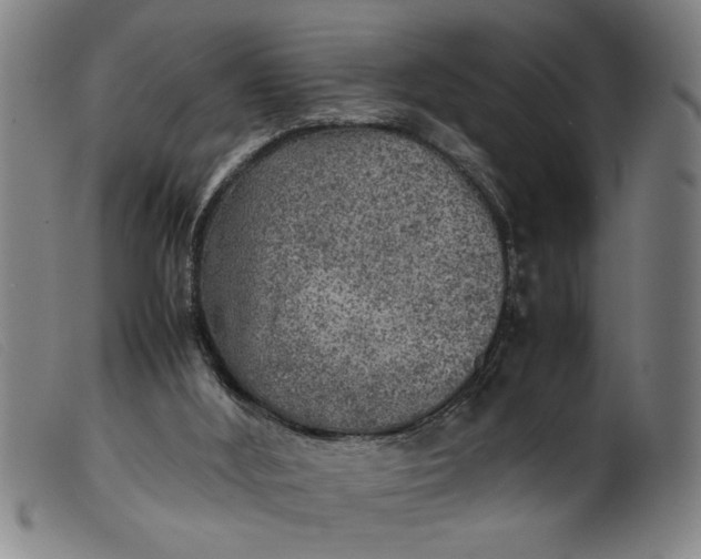 X0000099410012200805231616