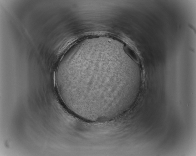 X0000099410013200805231616