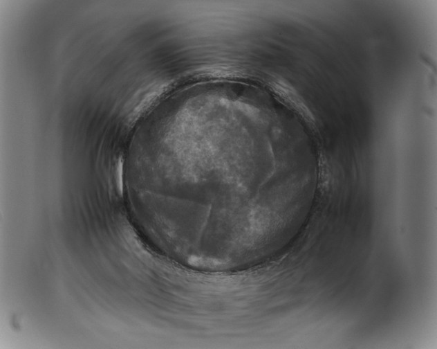 X0000099410014200805231616