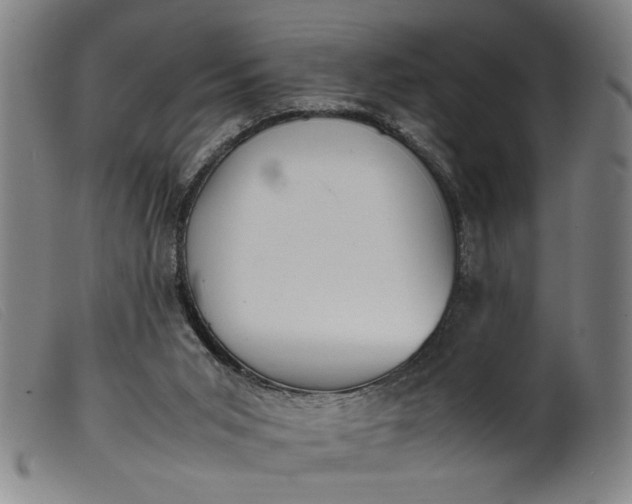 X0000099410015200805231616