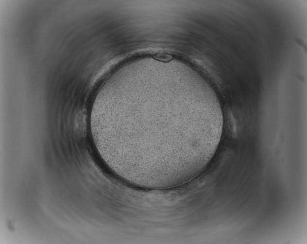 X0000099410016200805231616