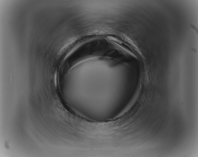 X0000099410019200805231616