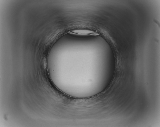 X0000099410021200805231616