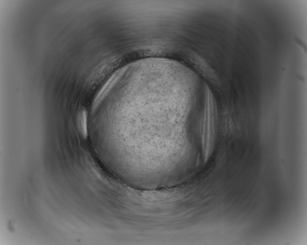 X0000099410022200805231616