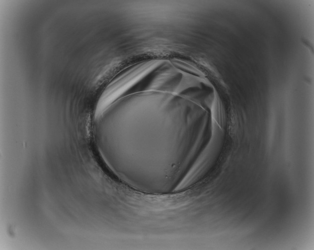 X0000099410023200805231616