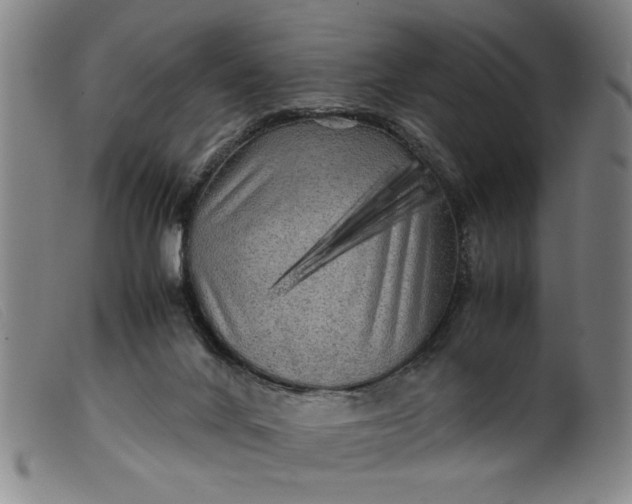 X0000099410024200805231616