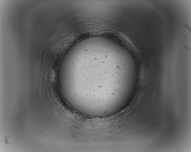 X0000099410025200805231616