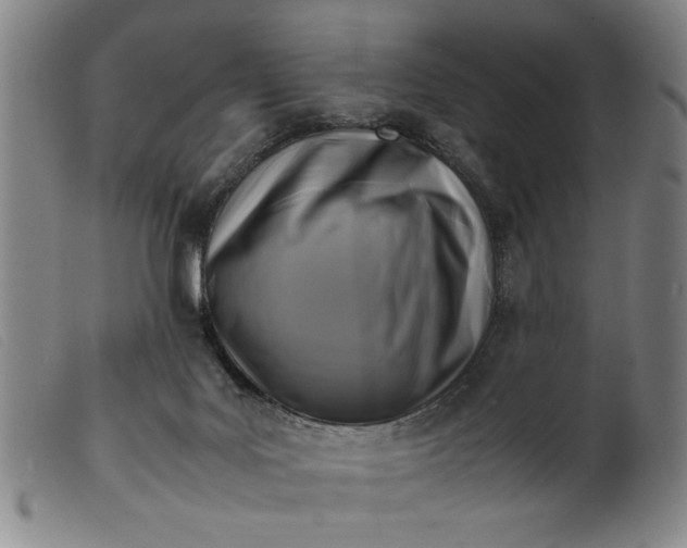 X0000099410027200805231615