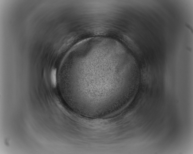 X0000099410028200805231615