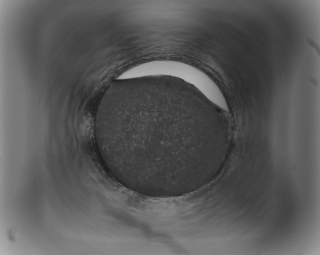 X0000099410029200805231615