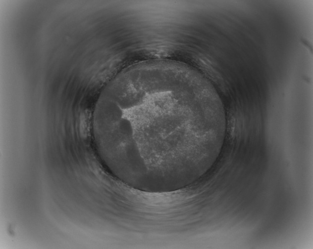 X0000099410030200805231615